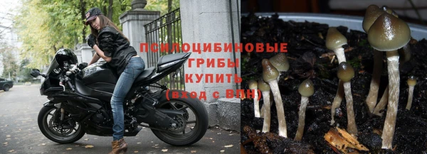 дурь Куйбышев