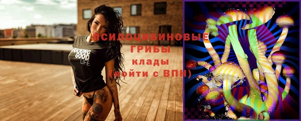 эйфоретик Кулебаки