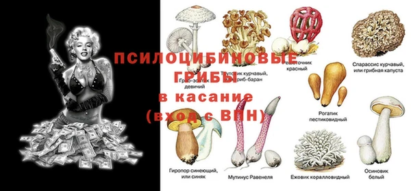 а пвп мука Кукмор